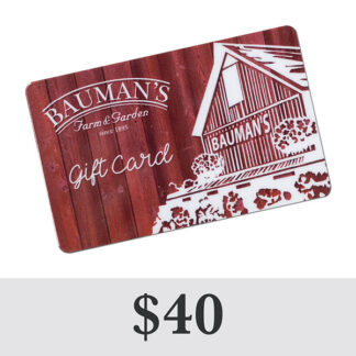 Purchase a Bauman Gift Card for $40