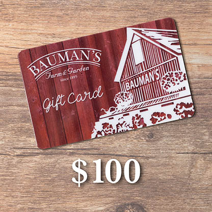 Purchase a Bauman Gift Card for $100