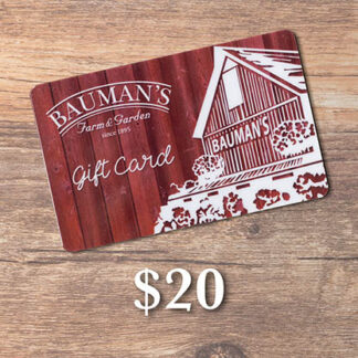 Purchase a Bauman Gift Card for $20
