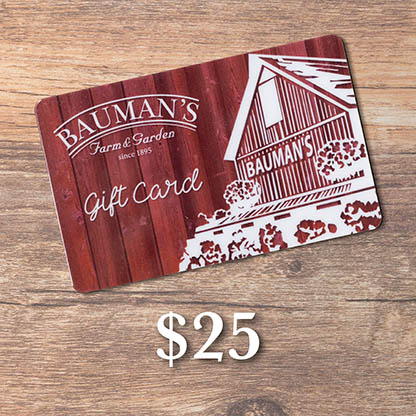 Purchase a Bauman Gift Card for $25