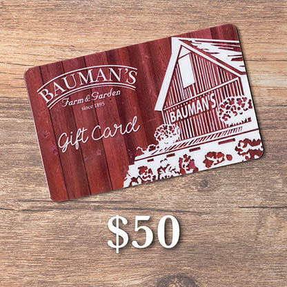Purchase a Bauman Gift Card for $40