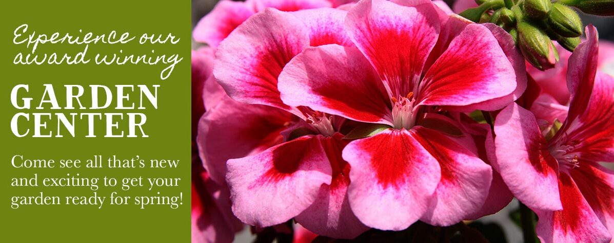 Garden Center - Flowers