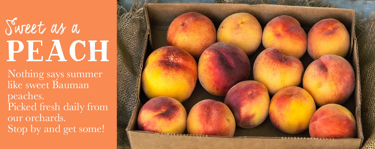 Fresh Peaches at Baumans