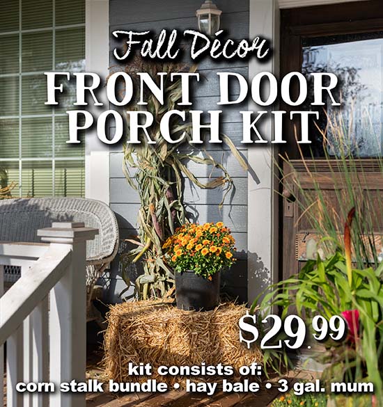 Fall Decor Front Door Porch Kit