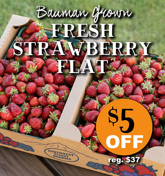 Fresh Strawberry Flat