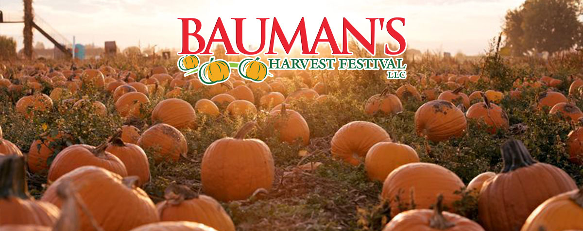 Harvest Festival - Bauman's