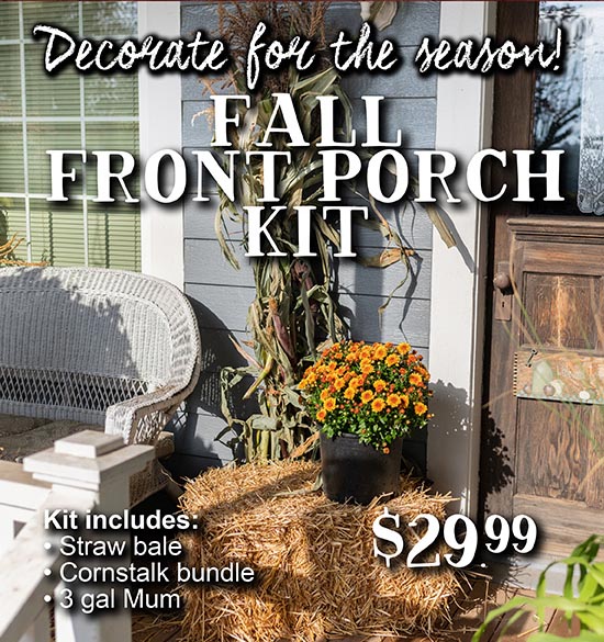 Fall Front Porch Kit - decorate for the searson!