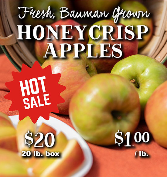 Hot Sale - Honeycrisp Apples