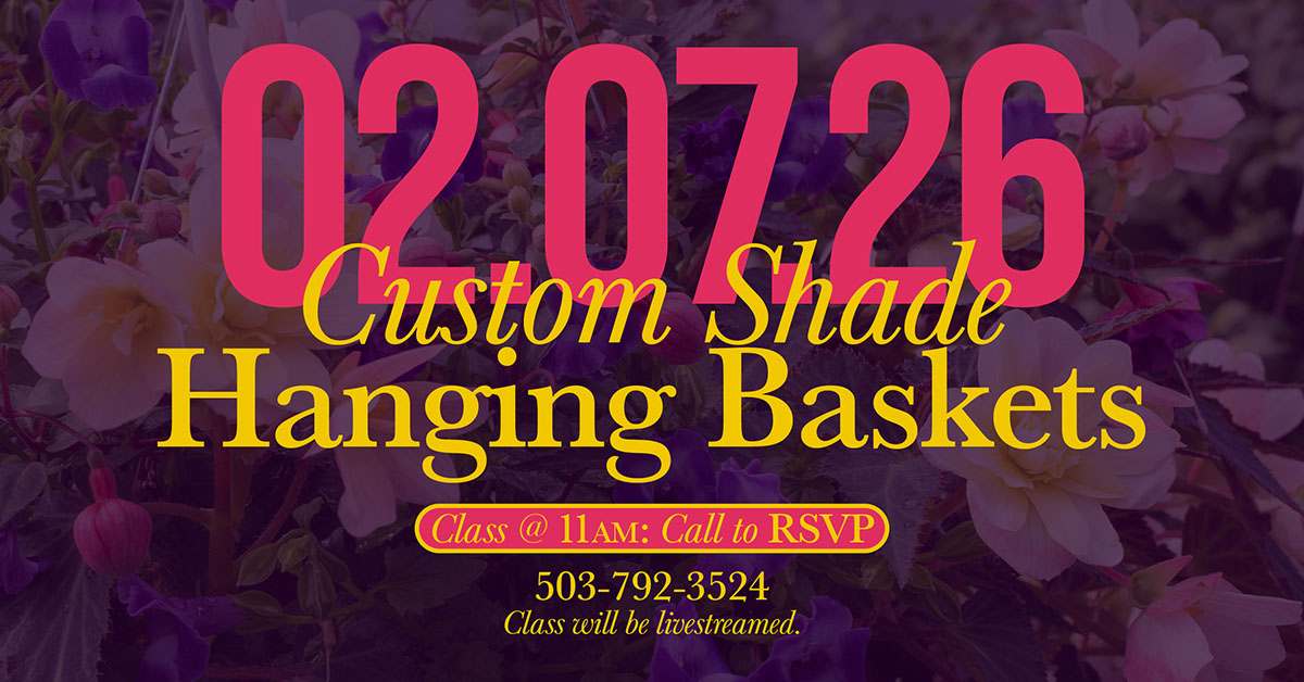 Custom Shade Hanging Baskets 2026