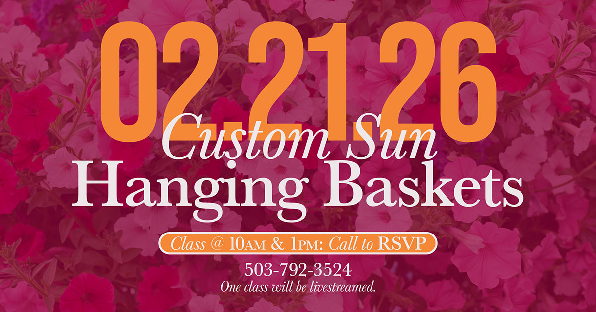 Custom Sun Hanging Baskets Class 2026