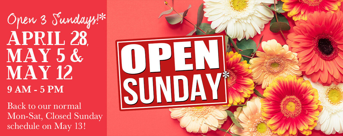 Open 3 Sundays