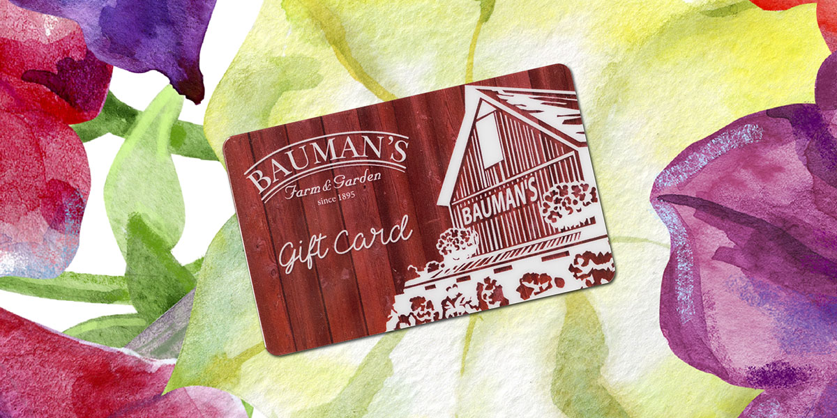 Bauman Mother's Day Gift Card Sale