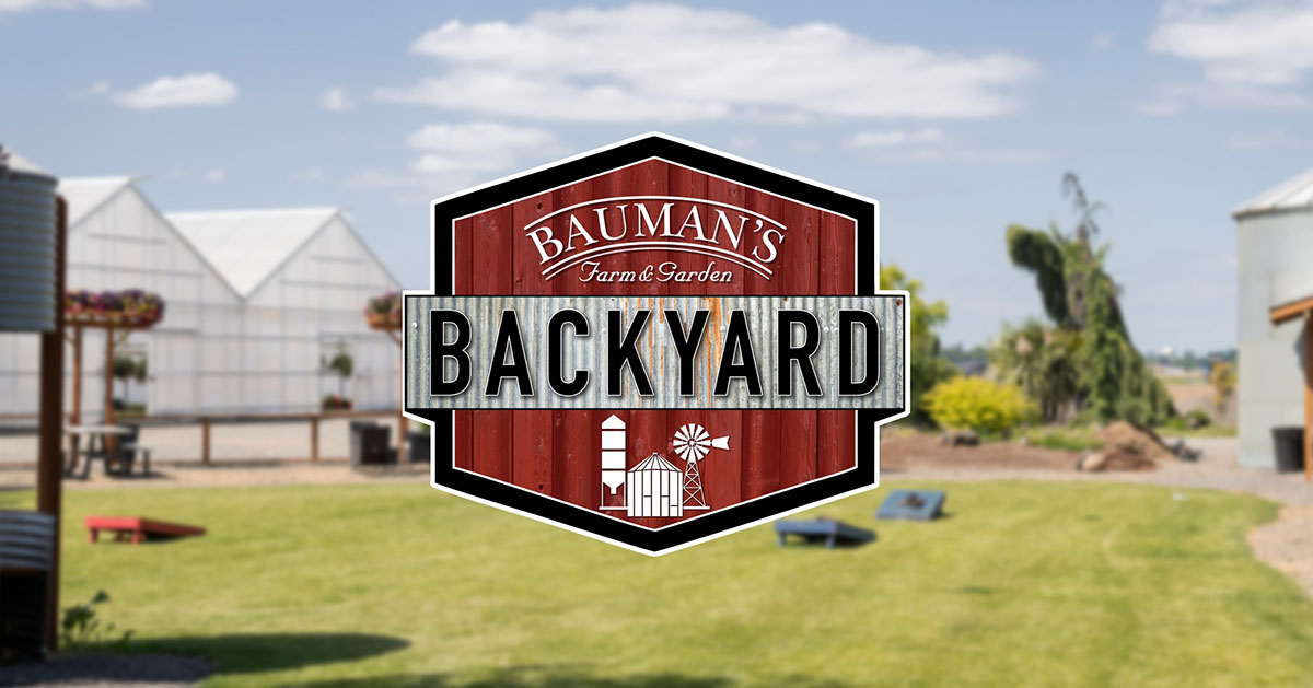 Backyard BBQ at Bauman's Farm & Garden