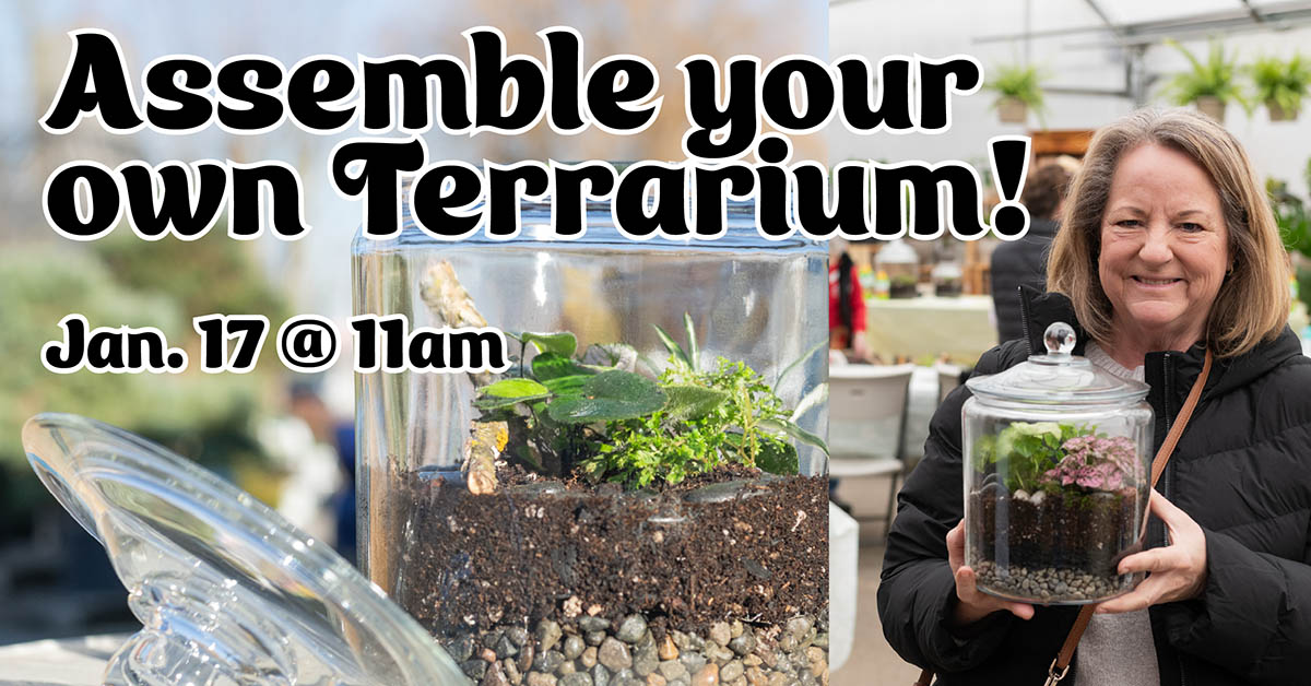 Terrarium Class 2026