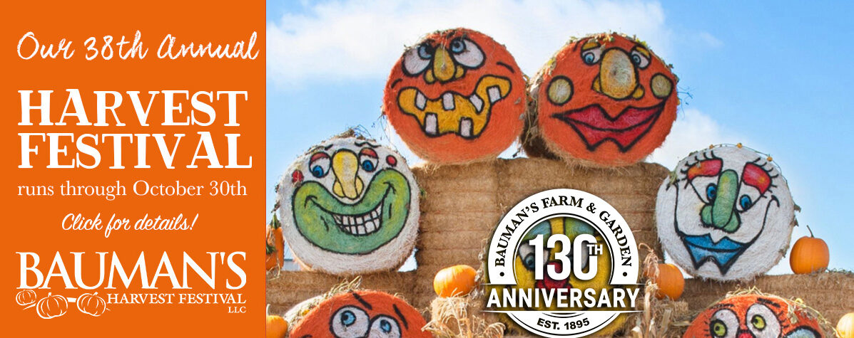 2025 Bauman's Harvest Festival & Pumpkin Patch