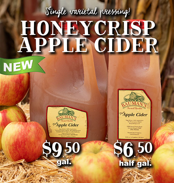 Honeycrisp Apple Cider