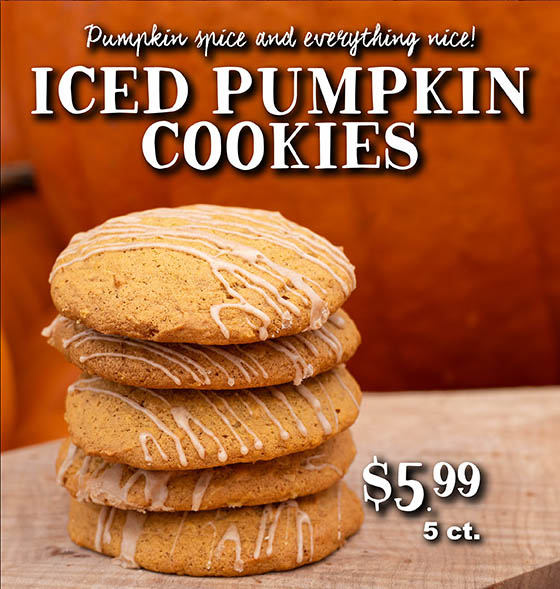 Iced Pumpkin Cookies