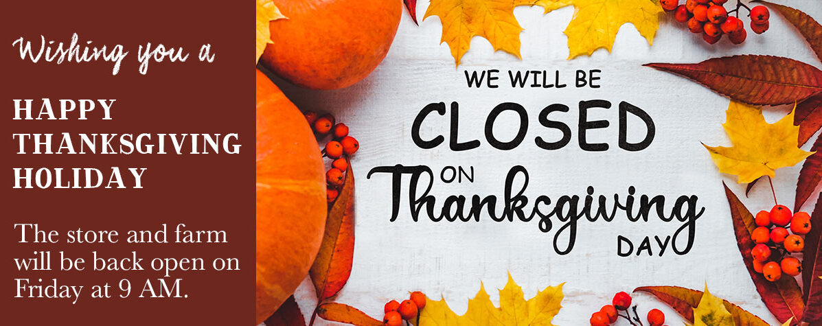Closed on Thanksgiving