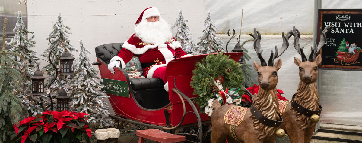 Santa at Bauman Farms at Christmas