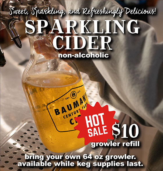 Sparkling Cider - Hot Sale