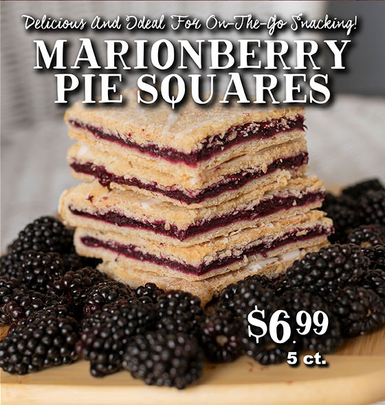 Marionberry Pie Squares