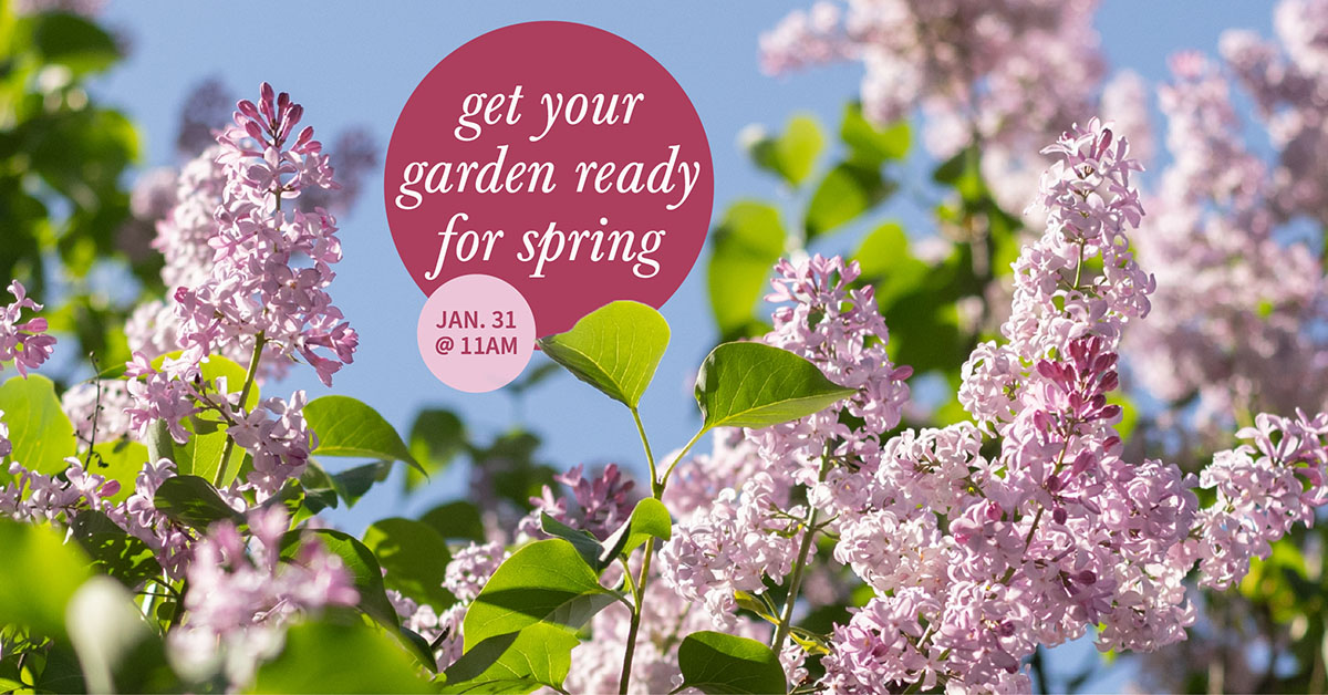 Get Your Garden Ready for Spring