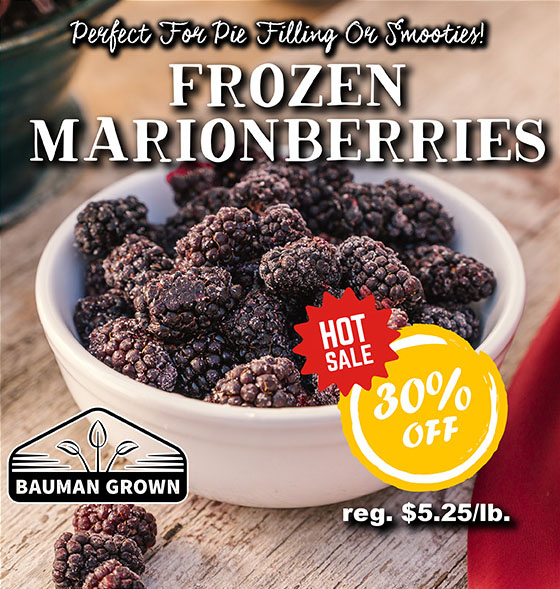 Frozen Marionberries