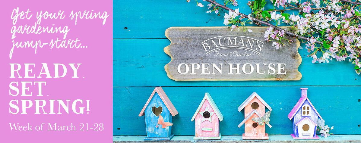 Ready Set Spring Open House