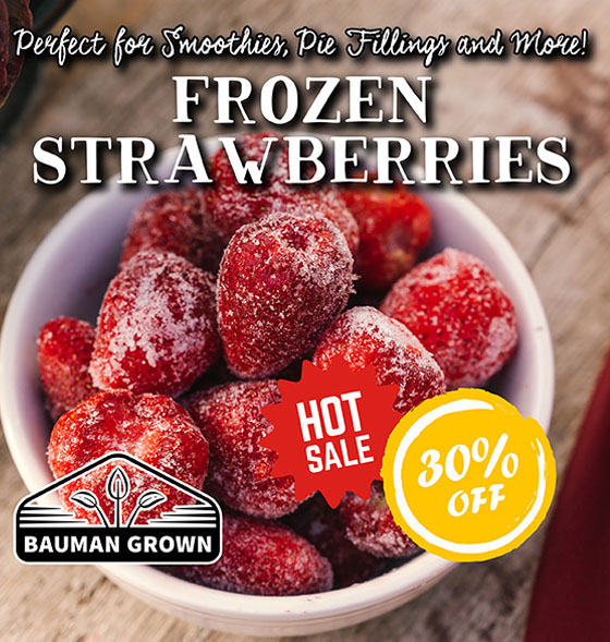 Frozen Strawberries