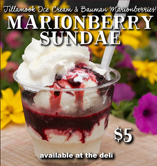 Marionberry Sundae