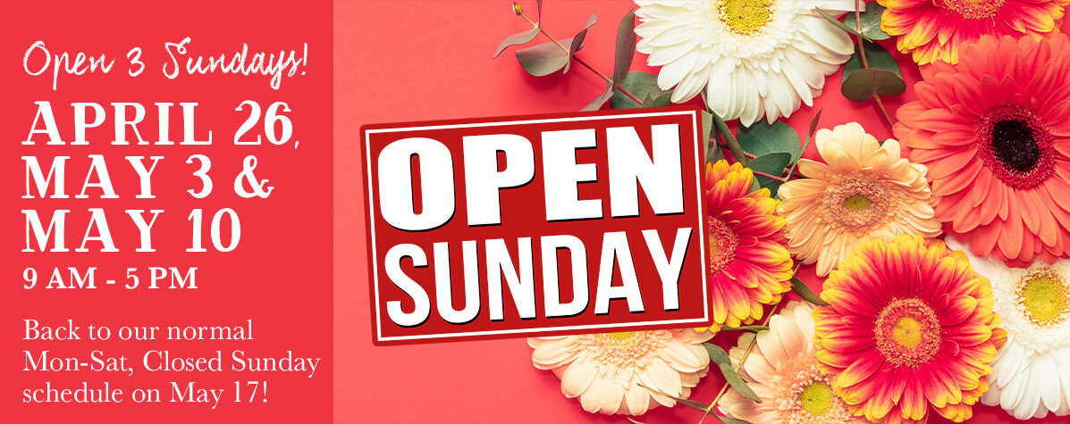 Open 3 Sundays 2026
