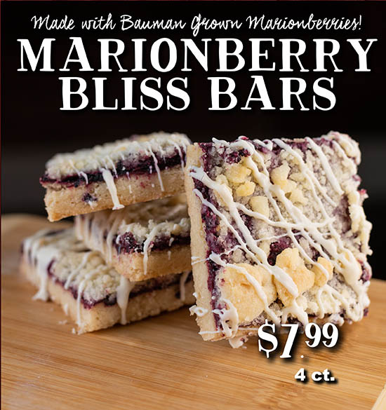 Marionberry Bliss Bars