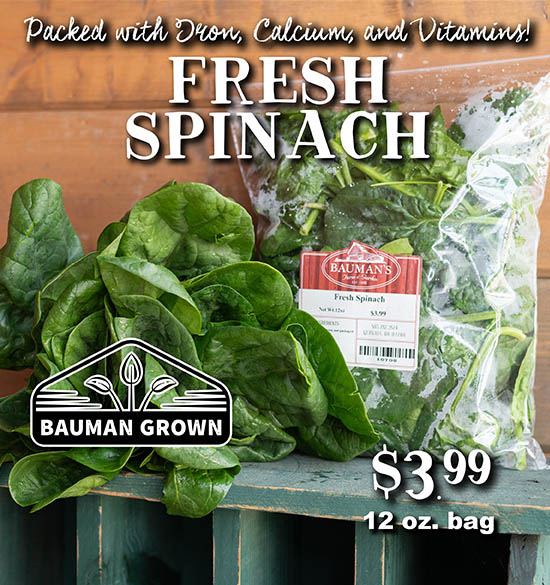 Fresh Spinach