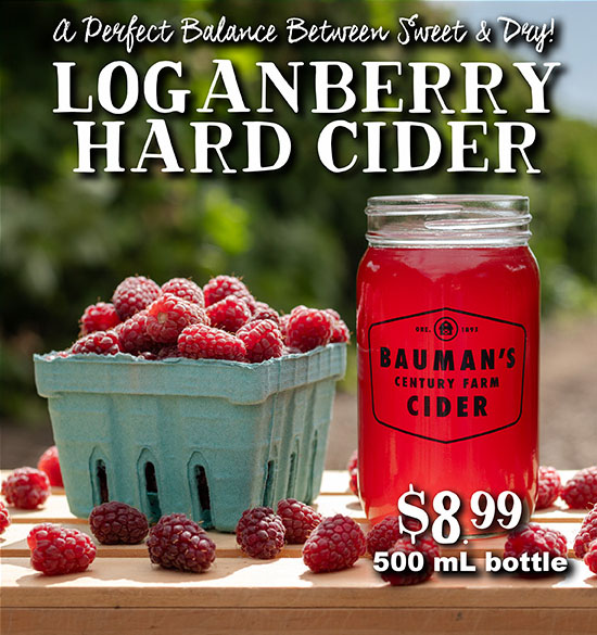 Loganberry Hard Cider