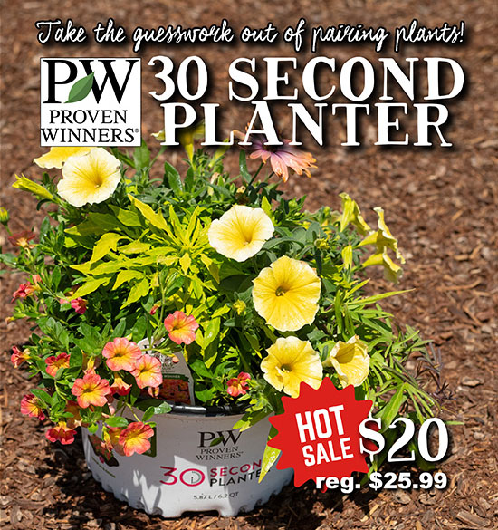 30-Second Planter