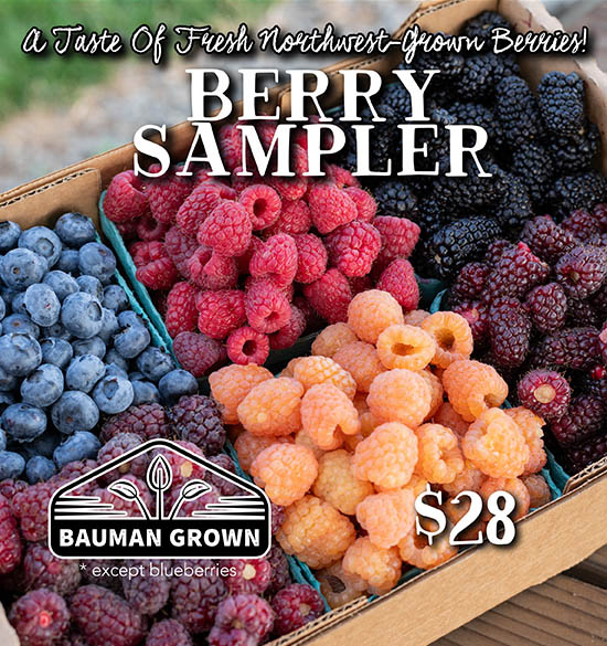 Berry Sampler